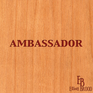 Ambassador