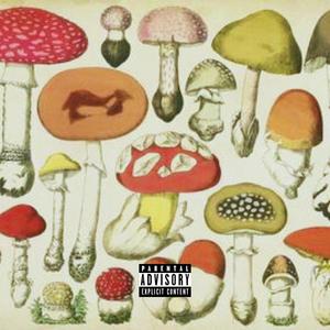 Psilocybin (Explicit)