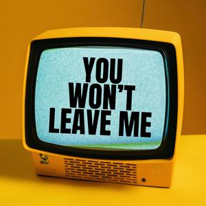 YOU WON'T LEAVE ME