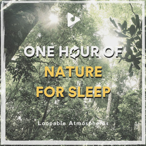 1 Hour Of Nature For Sleep