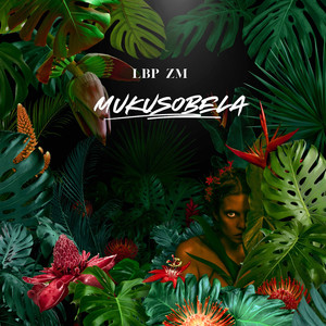 Mukusobela