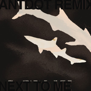 Next To Me (Antdot Remix)