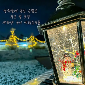 밤하늘에 놓인 수많은 작은 별 보단 새하얀 눈이 내려오기를 (feat. 윤지현) (White Snow) (比起夜空中的无数小星星，希望白雪飘落（feat.尹智贤）)