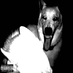 fwtd* (feat. elvven) (Explicit)