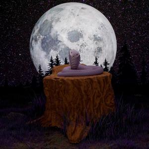Noches (feat. fekir)