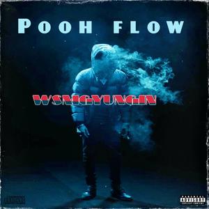 Pooh Flow (Explicit)