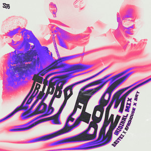 Trippy Flow (Original Mix)