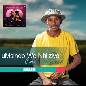 UMsindo We nhliziyo Cover (feat. Sobahle)