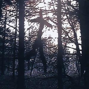 Exsanguinação (Explicit)