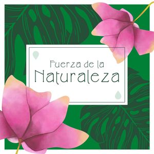 Fuerza de la Naturaleza: Dormir y Relajarse con Sonidos del Mar, el Bosque y la Tormenta, Música de Relajación