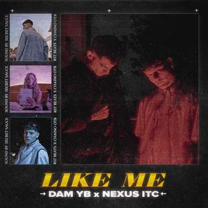 Like Me (feat. DAM YB, RST BEATS & Chaino OTB) [Explicit]