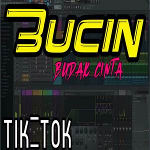 BUCIN (BUDAK CINTA)