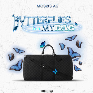 Butterflies in My Bag (Explicit)