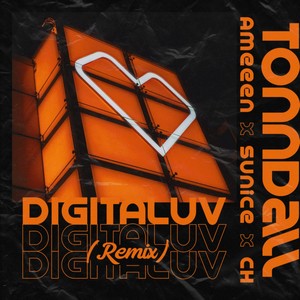 Digitaluv (Remix) [Explicit]