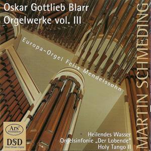 Blarr, O.G.: Organ Music, Vol. 3 - Healing Water / Der Lobende / Holy Tango Ii