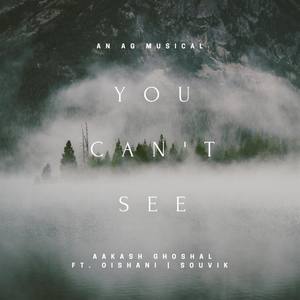 You Can't See (feat. Oishani)