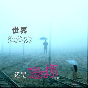 世界这么大还是遇见你