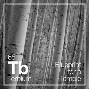 Blueprint for a Temple