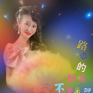 朱美璇 - 路边的野花不要采 (DJ伟然版)