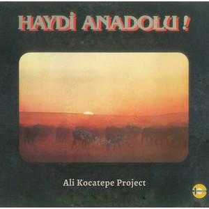 Haydi Anadolu (Enstrümantal)