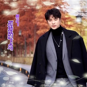 孤独的飞鸟 (伴奏)