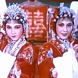 评剧（无双转）水中捞月梦难圆封面