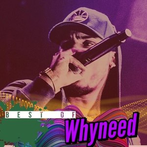 Best of Whyneed (Explicit)