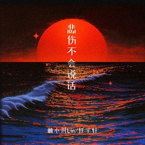 悲伤不会说话
