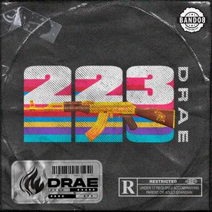 .223 (feat. Rxzor) (Explicit)