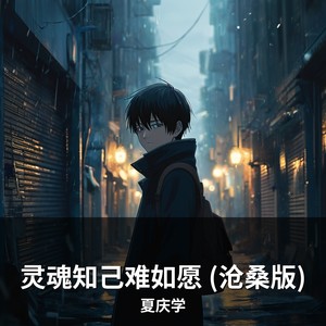 灵魂知己难如愿 (沧桑版)