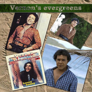 Vernon - Who, What, When, Why (Who Is The Guy...)