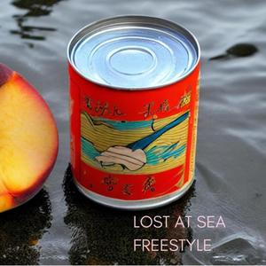 Lost at sea freestyle