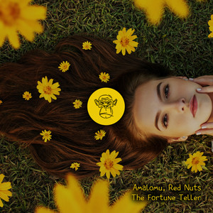 The Fortune Teller (Breaks Extended Mix)