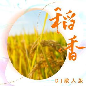 稻香 (DJ散人版)