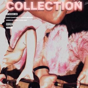 Collection (feat. Danvhefner) [Explicit]