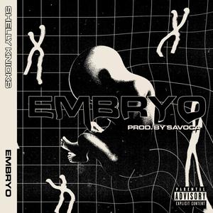 Embryo (Explicit)