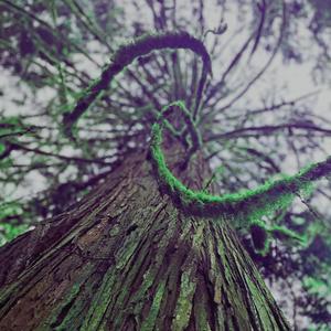 Spirals of Spaciousness