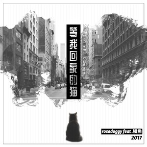 等我回家的猫 (쓰레기 remix)