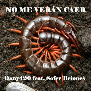 No me verán caer(feat. Dany420) (Explicit)