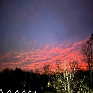 Cxldaf - light's death