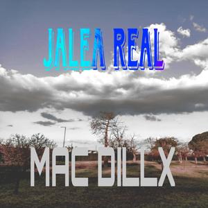 Jalea real