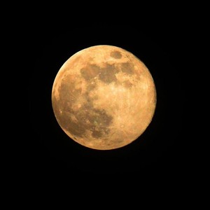 Lemon (翻奏: 米津玄師)
