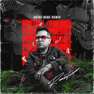 Adiós Bebé (Remix)