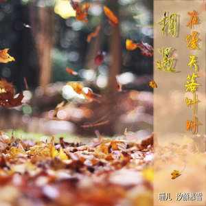 相遇在漫天落叶时