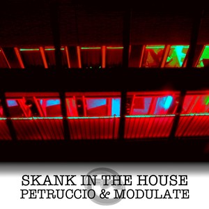 Skank In The House (Original Mix)