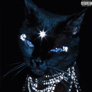 SAY U WANT ME (Explicit)