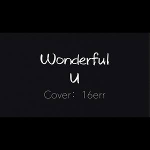 Wonderful U