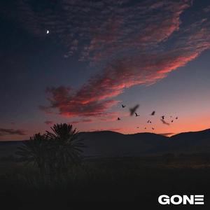 gone (Explicit)