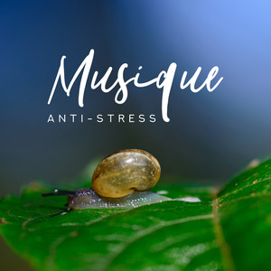 Musique anti-stress: Détente New Age, Sons naturels apaisants, Ne vous inquiétez plus