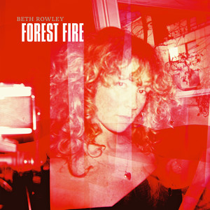 Forest Fire